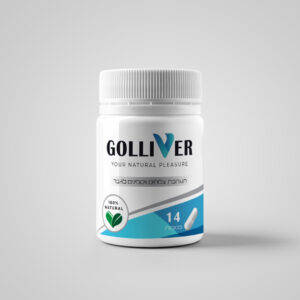 guliver_portfolio_brand copy 2