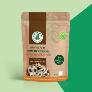 moringa_portfolio_brand copy 3