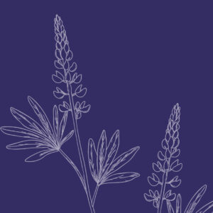 purple_portfolio_brand copy 4